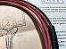 Harley 19391947 Tail Lamp Light Wiring Harness Wire Kit Solid Colors 470439B