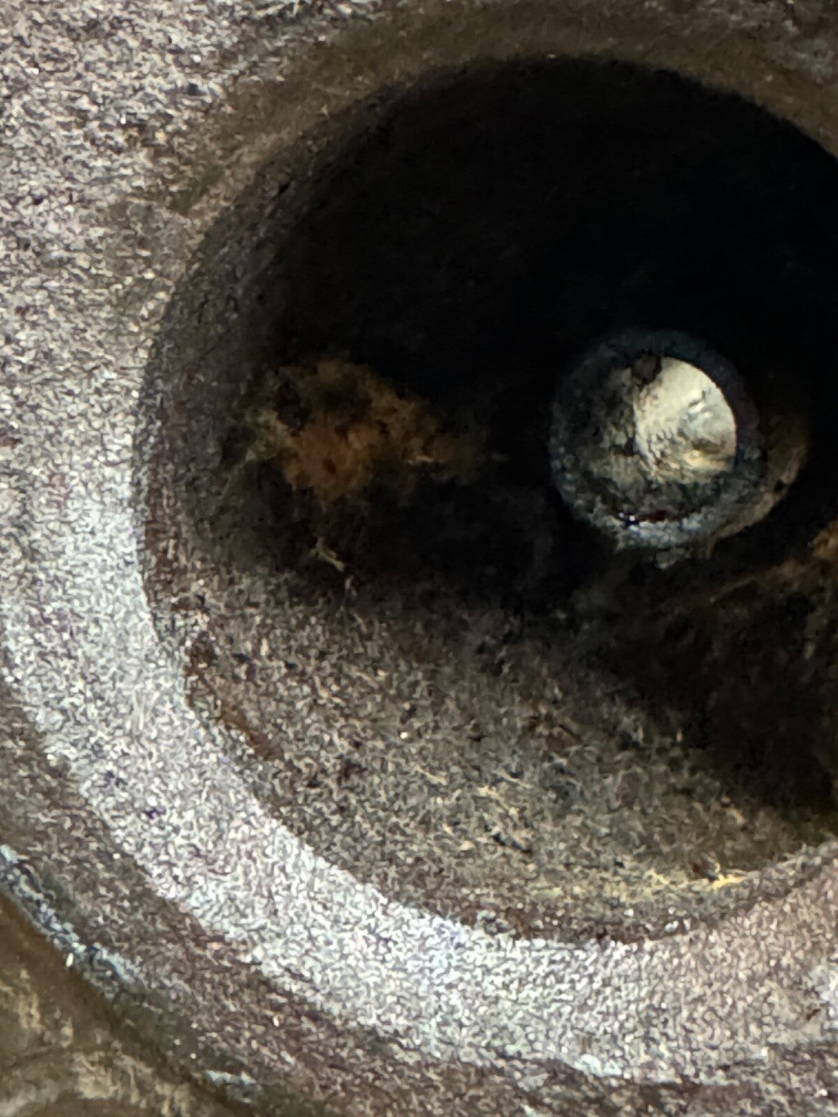 Harley UL ULH 80" 13 Fin OEM 5-37A Rear Cylinder .020  No Broken Fins 120-371