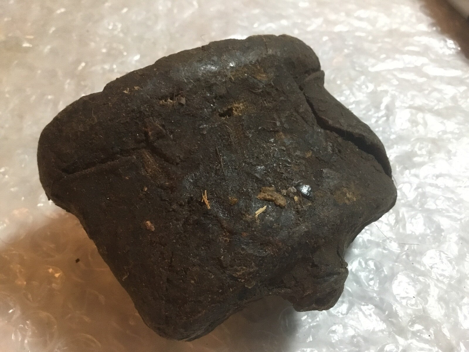 Harley WLA MB GPW Black Out Stop Light Tail Lamp Element WW-II NOS Guide CB 