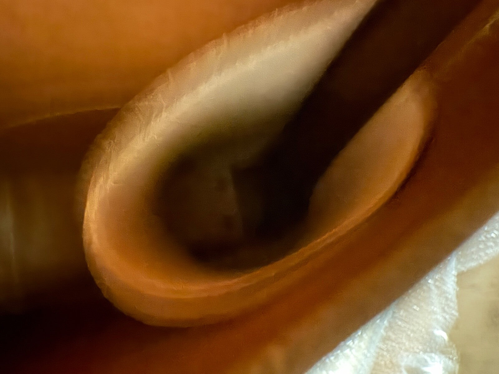 Harley 11786-X WLA WLC Smooth Grain Saddlebags  1942-1952 European