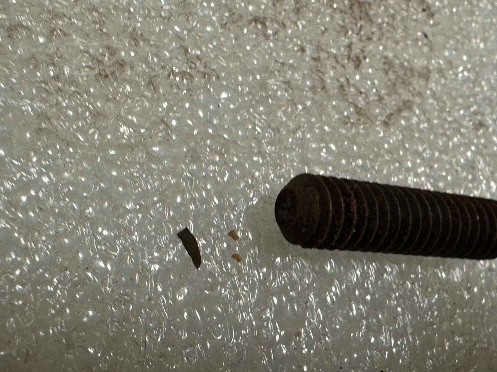 Harley NOS 29636-55 Magneto Coil Set Screw Sportster XLCH KR FM Morris