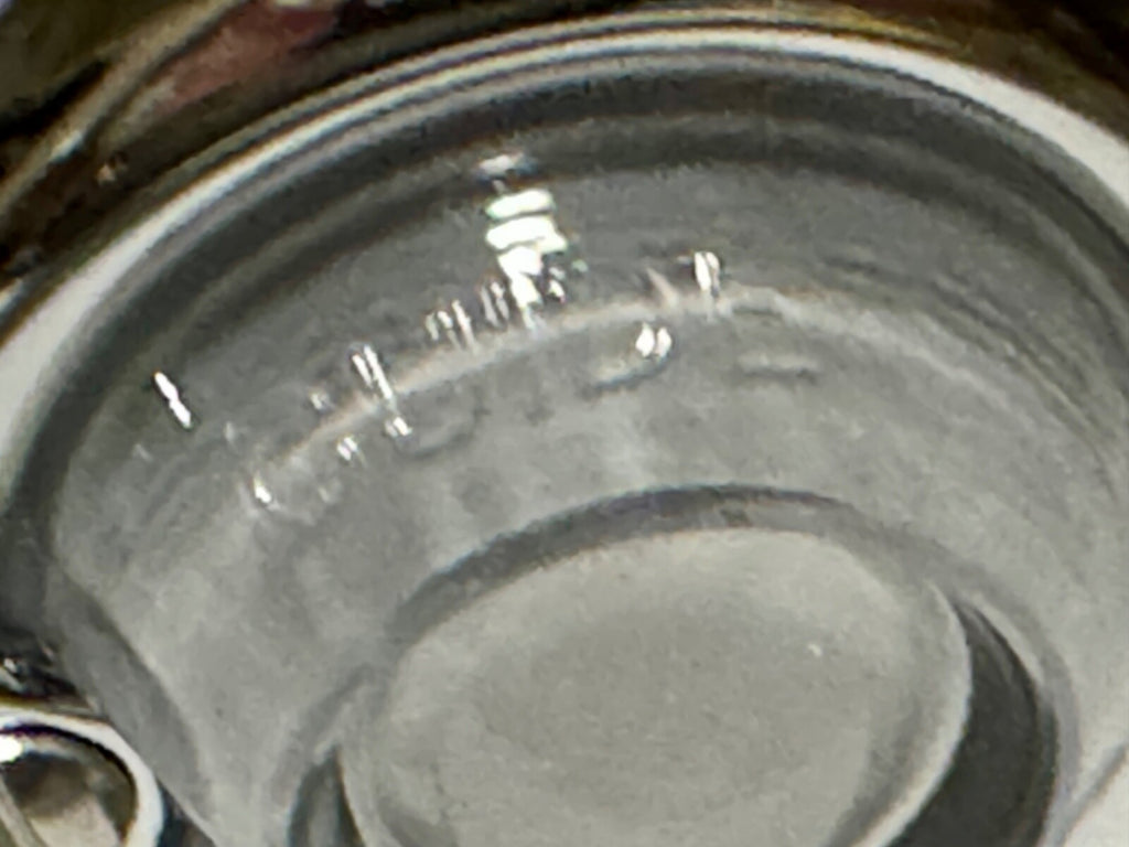 Harley Guide DH-49 Bullet Lamps Fish Eye Replaces OEM 68552-58A W Frosted Lenses