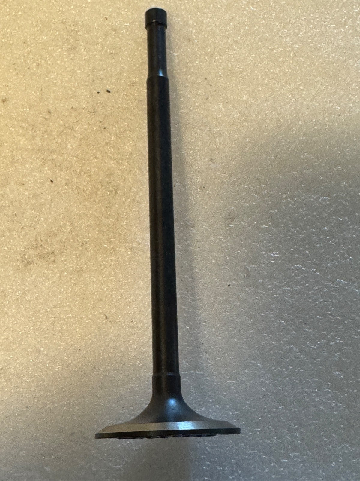 Harley 18080-59R KR KRTT Exhaust Valve Nitrided 1952-1969 USA